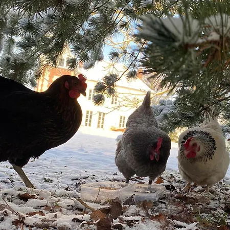 Maison Félice Appartamento *