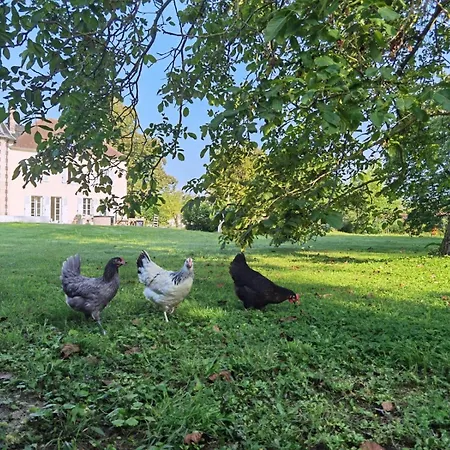 Maison Felice