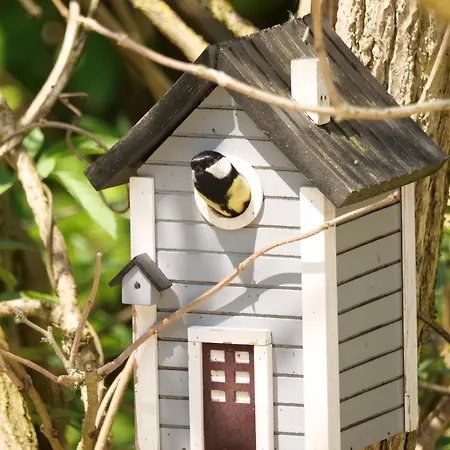 Appartamento Maison Félice Les Ageux